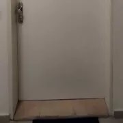 Bezpečnostní dveře do paneláku 1